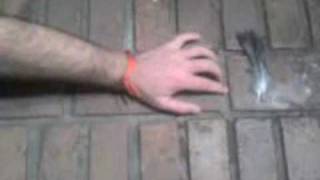 La main à la plume - Pepperland laid waste