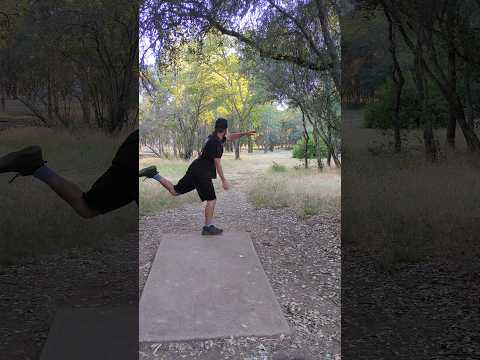 Easy Distance and Control the AGL Sycamore!