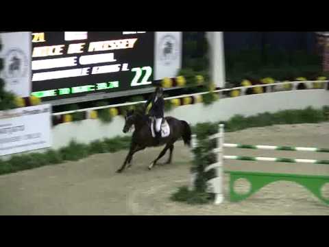 21, NICE DE PRISSEY - 215, $100,000 PRESIDENTS CUP-WORLD CUP JUMP OFF 1.60m II,2A .wmv