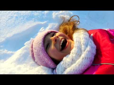 Beehive 1 Culture video Unit 3