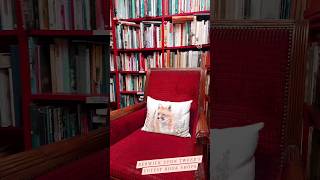 3 of England's Cutest Bookshops 📚 Berwick Upon Tweed #uktravel