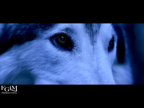 Every Green in May & Capri - HOWL (OFFICIAL VIDEO)
