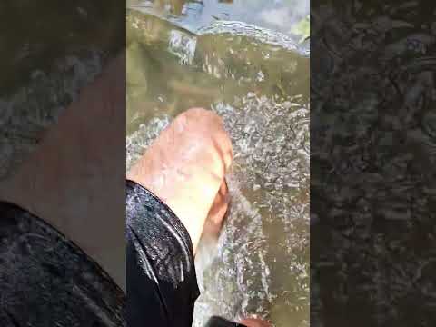 #juruena região do xingu. m.t