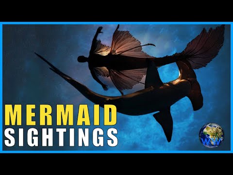 Mermaid Sightings - Why do people believe in mermaids?