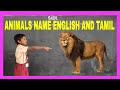 Animals Name Tamil And English Animals Name For Kids In English With Pictures And Tamil Meanings
