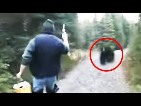 12 Times Bear Encounters Went Horribly Wrong