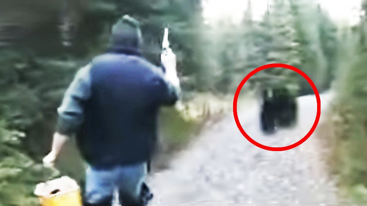 12 Times Bear Encounters Went Horribly Wrong