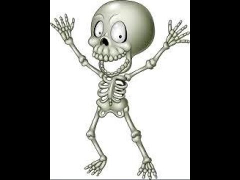 Sistemul osos BAC BIOLOGIE 2020