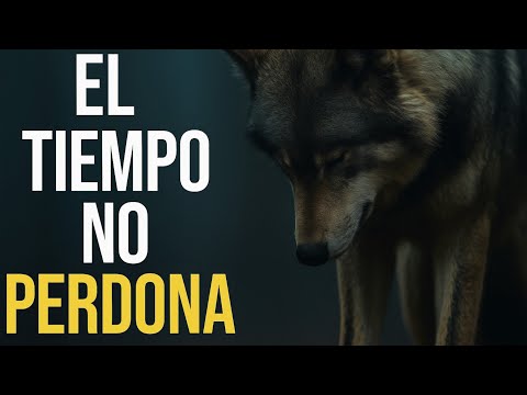 Reflexión del Lobo 🐺 | El Tiempo No Perdona y la Verdad Que Debes Escuchar Hoy