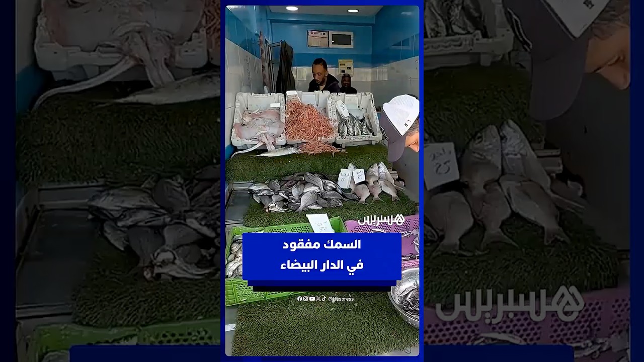 السمك مفقود في الدار البيضاء.. والأسعار تحلق في السماء‎ thumbnail