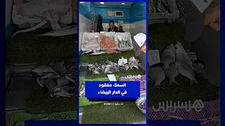 السمك مفقود في الدار البيضاء.. والأسعار تحلق في السماء‎ thumbnail