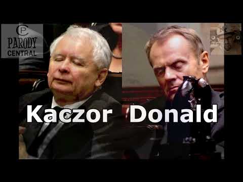 Franki Frank - PiS-PeO (Haddaway - What Is Love/Parodia)