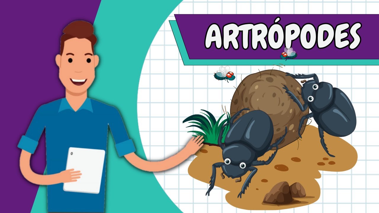 Resumo - ARTRÓPODES