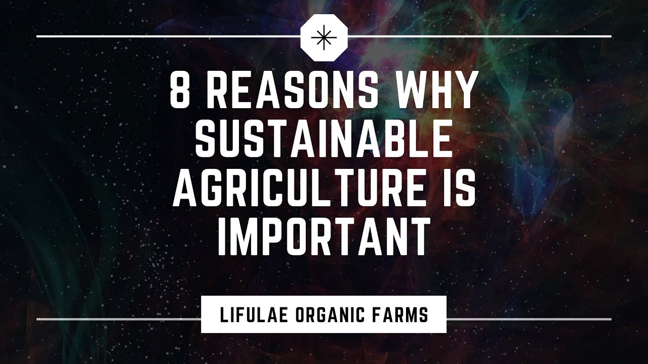 What is sustainable agriculture and why is it important? See Answer EN