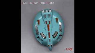 Colin Newman & Malka Spigel - Water Walker (Revisited)