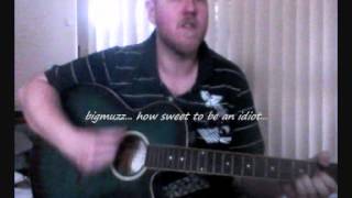 bigmuzz - How Sweet To Be An Idiot (Neil Innes acoustic guitar cover) 21-9-12