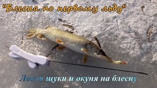 Ловля щуки на блесну зимой со льда