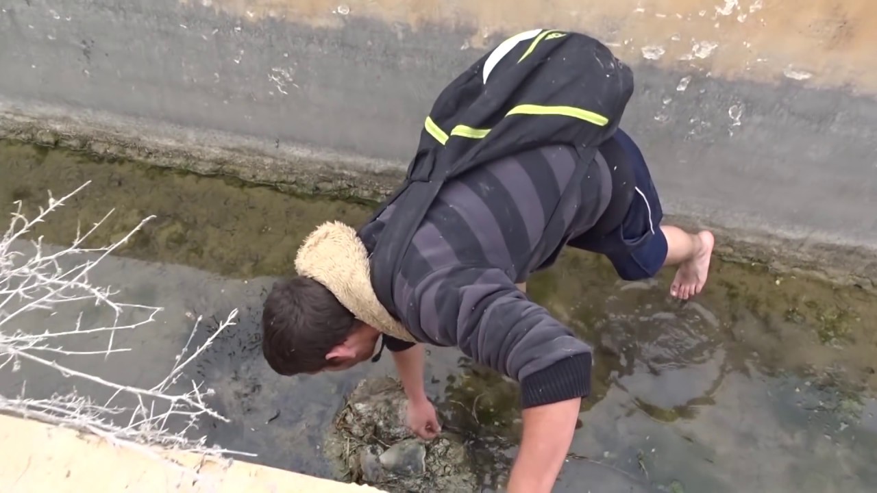 Rescatamos 4 conejos 1 raton y 6 carpas de un canal