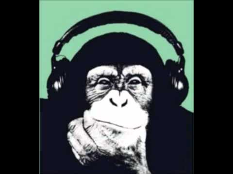 Sha Karl - 100 % Effizienz.wmv