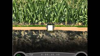 Hedgehog Launch 2 - Journey Through the Center of the Earth - 1