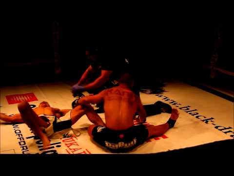 Profesjonalna Liga MMA 2012: HIGHLIGHT