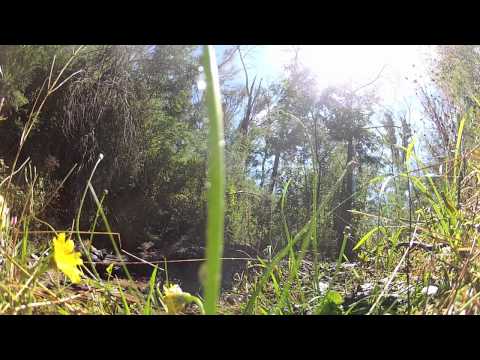 2012 QRCV ATV enduro RD.1