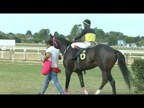 SINT PAYSANDU - 220513 c05  - 1° TOPUS