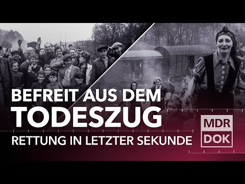 Zug ins Leben – Die unglaubliche Rettung der SS Geiseln im April 1945 | MDR DOK