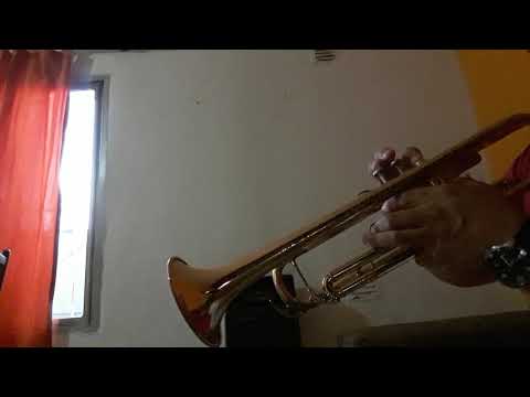 "Robarte un beso" *con trompeta*  Carlos vives y sebastian Yatra