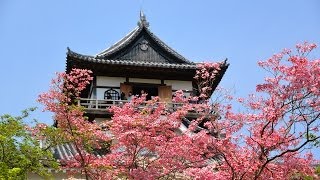 preview picture of video '犬山城天守閣 Inuyama Castle tower:犬山を歩く Walking Inuyama'
