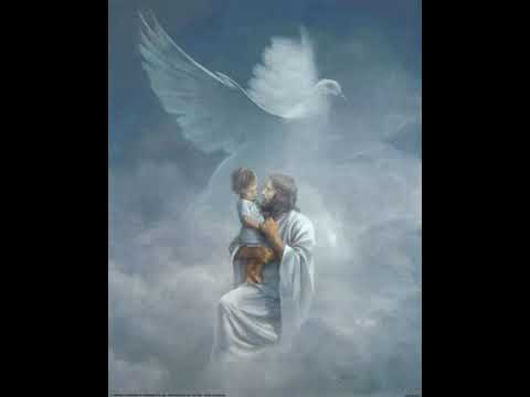 T'amo Gesù  Canto  Del Rns )