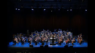 Koncert SMO na Ljubljana Festivalu