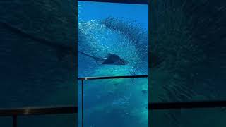水族館