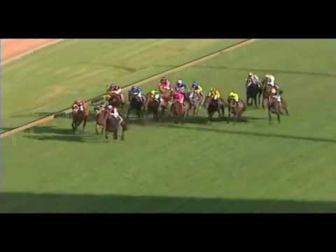 Toohey's Golden Rose DENMAN