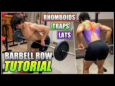How to do the BENT-OVER BARBELL ROW! | 2 Minute Tutorial