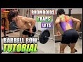 How To Do The BENT OVER BARBELL ROW 2 Minute Tutorial