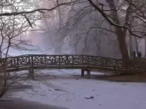 Diary of Dreams - Never Freeze