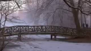 Diary of Dreams - Never Freeze
