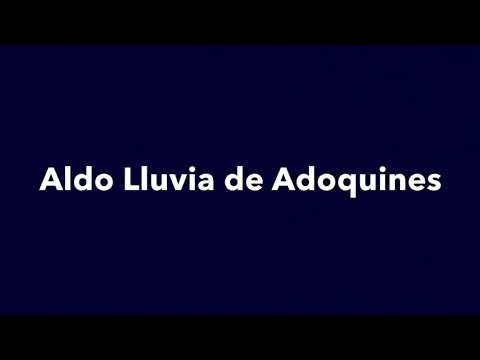 al2 Aldo - lluvia de Adoquines 2019