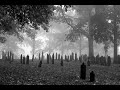 The Veils - It Hits Deep