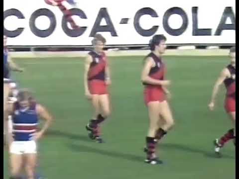 1979 Round 14, Essendon v Footscray