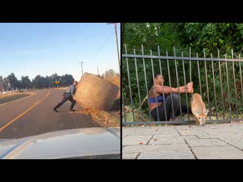 Amazing Feats of Strength