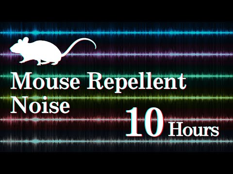 High Frequency Rodent Repellent | Drive Mice & Rats Away Fast | 10 Hours