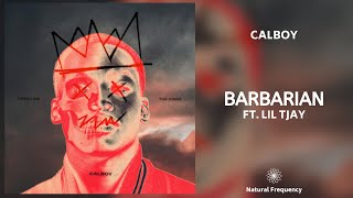 Calboy - Barbarian ft. Lil Tjay (432Hz)