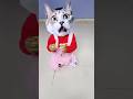 Billi Boli Meow Meow ‍ Shorts Viral Funny Cat Billi