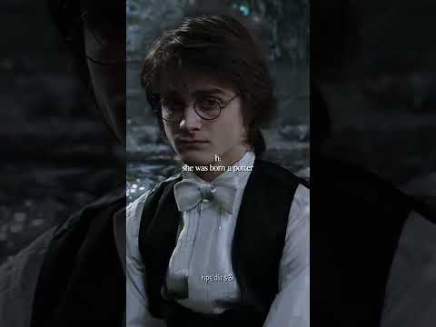 #pov : "she was born a potter, but she fell in love with a malfoy" || y/n potter x draco malfoy