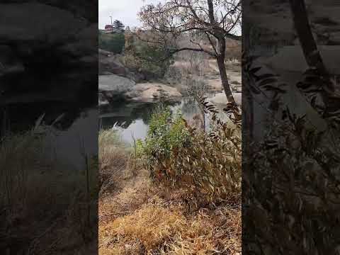 video rio estancia vieja