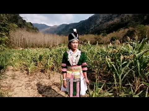 Ntxhi yaj kwv txhiaj wb me ntxhais koj tsis hlub tsam koj tuag koj g tau wb txhais tshua ntawv mus r