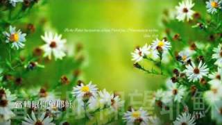 『當轉眼仰望耶穌』伴我成長2 誰是主角(經典詩歌,團契遊樂園推介)