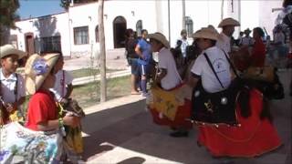 preview picture of video 'Caballitos de Viesca, Coah. El Huertero'